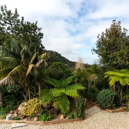 Holiday Oliveiras House - C *