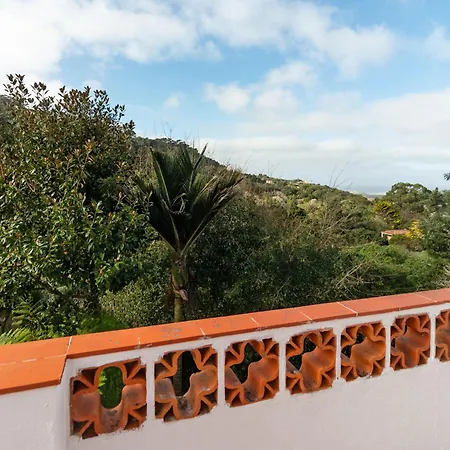 Holiday Oliveiras House - C